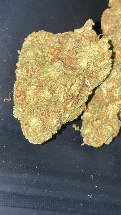 GELATO 41 Hemp Tea 19% CBD <0.2 THC